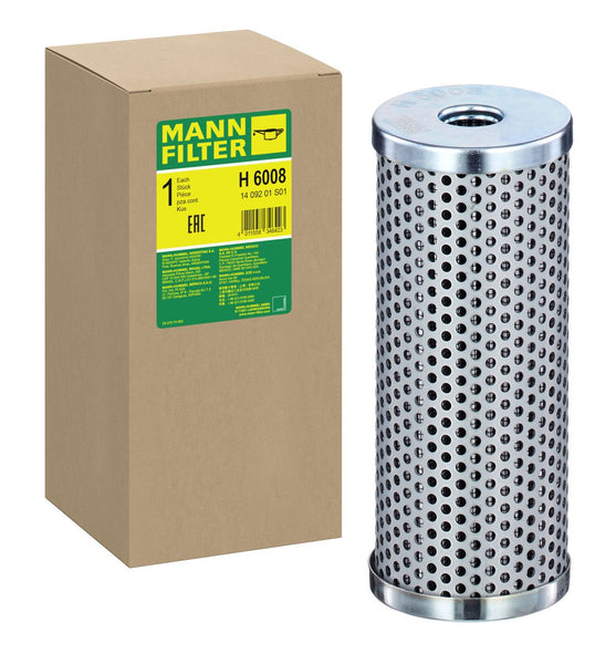 H 6008